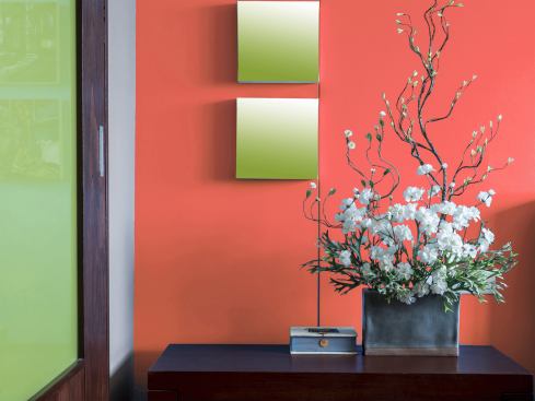 Here, Sherwin williams Coral Reef is used as a large canvas to illustrate it's practical use in a living space.