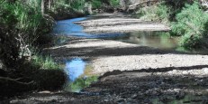 San Pedro River Downstream near San Pedro House