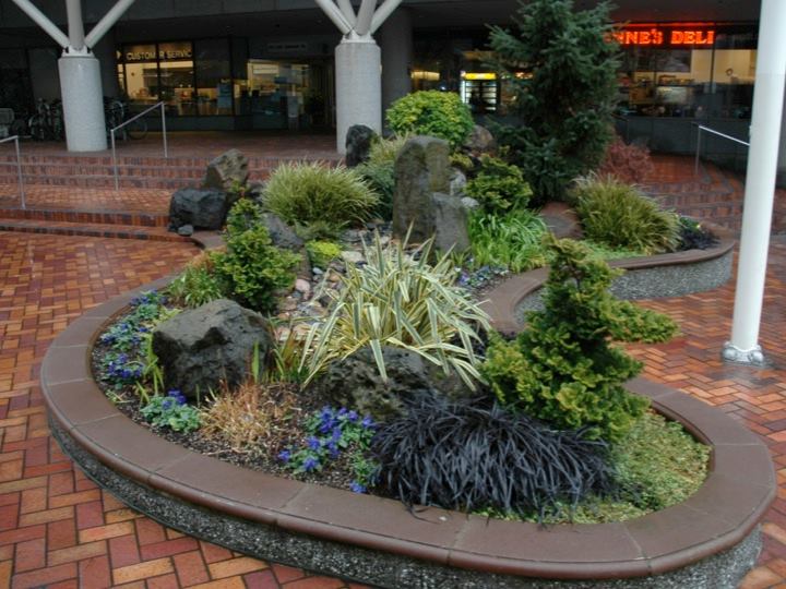 7 Ways Biophilic Design Can Enhance Indoor Environments