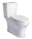 Niagara's Phantom toilet