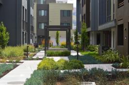 Drought-tolerant landscaping is a prominent feature at Lennar's Innovation Village in Fremont, California.