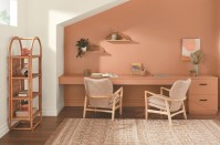Desert Carnation – A faded natural terracotta