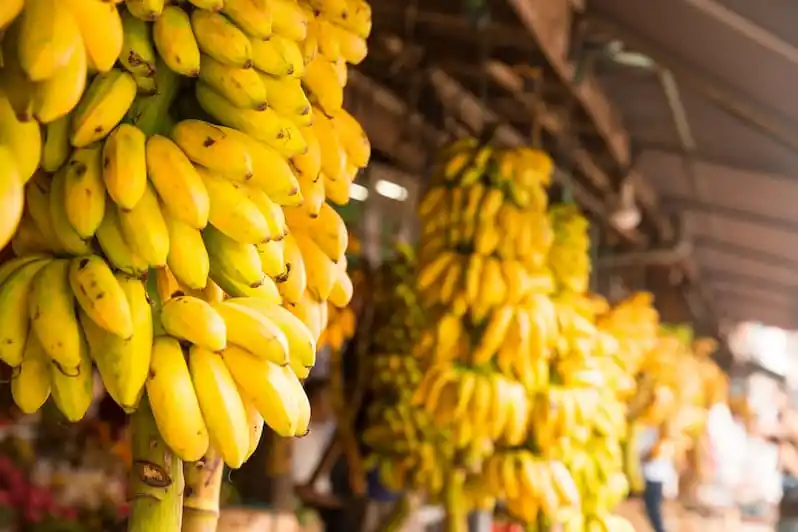 Navigating the ‘Bananas’ Housing Market of 2024