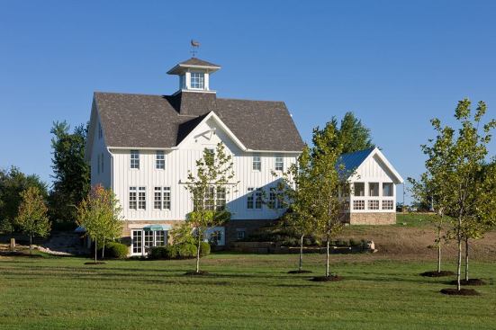 The lower level master suite gets full light and a second form of egress thanks to clever siting that takes advantage of the sloping hill.