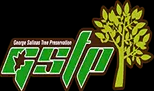 Roseville Tree Service Experts