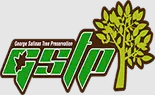 Las Vegas Tree Service Experts