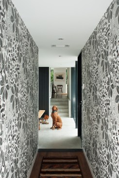 Hillside+Residence