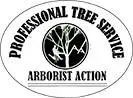 Jacksonville Tree Service Experts
