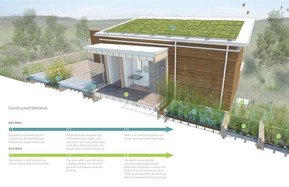 2014 Project of the Year: WaterShed, Rockville, Md. by University of Maryland 2011 Solar Decathlon Team Constructed wetlands abut those glass walls, giving bathers direct views of where water ends up after going down the drain. Graywater from the bathroom sink, shower, dishwasher, and washing machine, along with captured rainwater, is filtered by those wetlands and then used for irrigation.