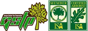 Roseville Tree Service Experts