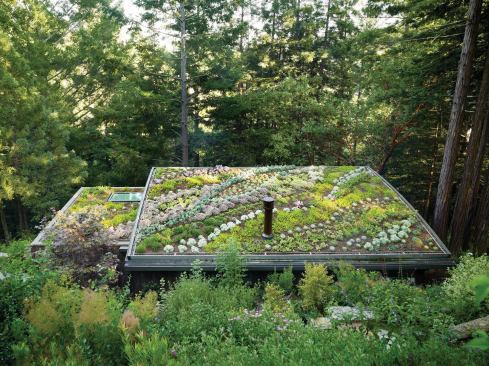 The lower cabinís green roof became a garden art project.