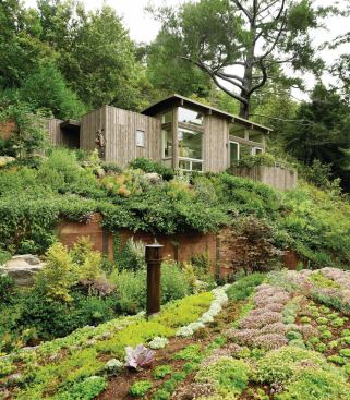 The artist studio, above, overlooks the yoga studio’s planted roof.