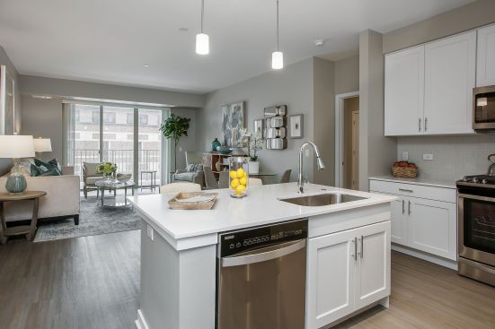 Avere on Duane Open Floor Plan