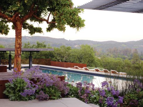The pool uses salt instead of chlorine for purification and is heated with a solar hydronic system. 