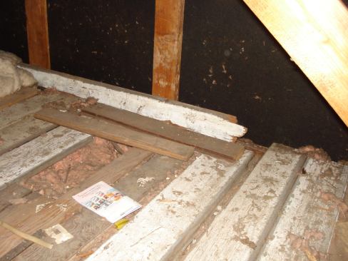 The attic, in fact, had insulation, but its depth only measure about 3 inches.
