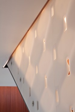 Micrographia+Screen