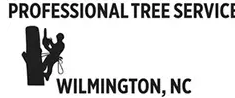 Wilmington Tree Service Experts
