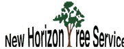 Nashville Tree Service Experts