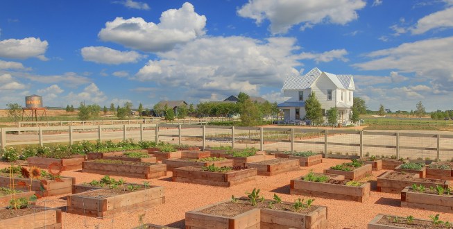 Project Harvest/Northlake and Argyle, Texas