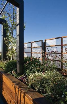 Raised planters hold a mix of hardy shrubs and perennials such as boxwood, heuchara, sedum, and nepeta. Beyond the smaller pergola is the service entrance, reached via elevator and a one-story stairway.