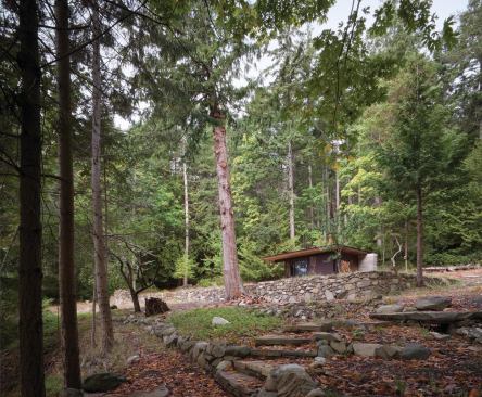 A low retaining wall brings rustic order to the previously disturbed site.

