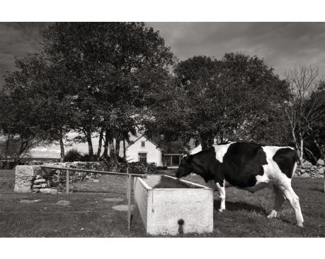 View from the cow pasture.

