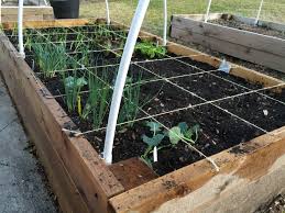 Millennials view gardening as an important part of a sustainable lifestyle.