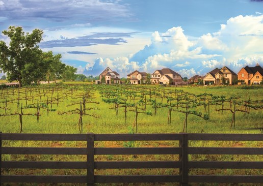 Harvest Green: The vineyard produces grapes for Texas winery Messina Hof, which has a full-service restaurant and winery within the community.