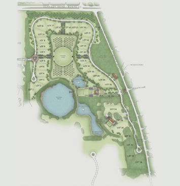 The Meadow neighborhood occupies the northern portion of the plan, while The Woods sits on the southern edge.