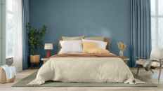 Bedroom with accent wall done in Artifact